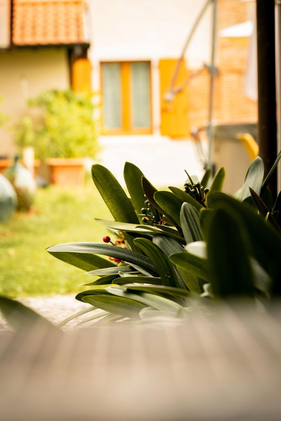 Agriturismo Podere Nigriano *