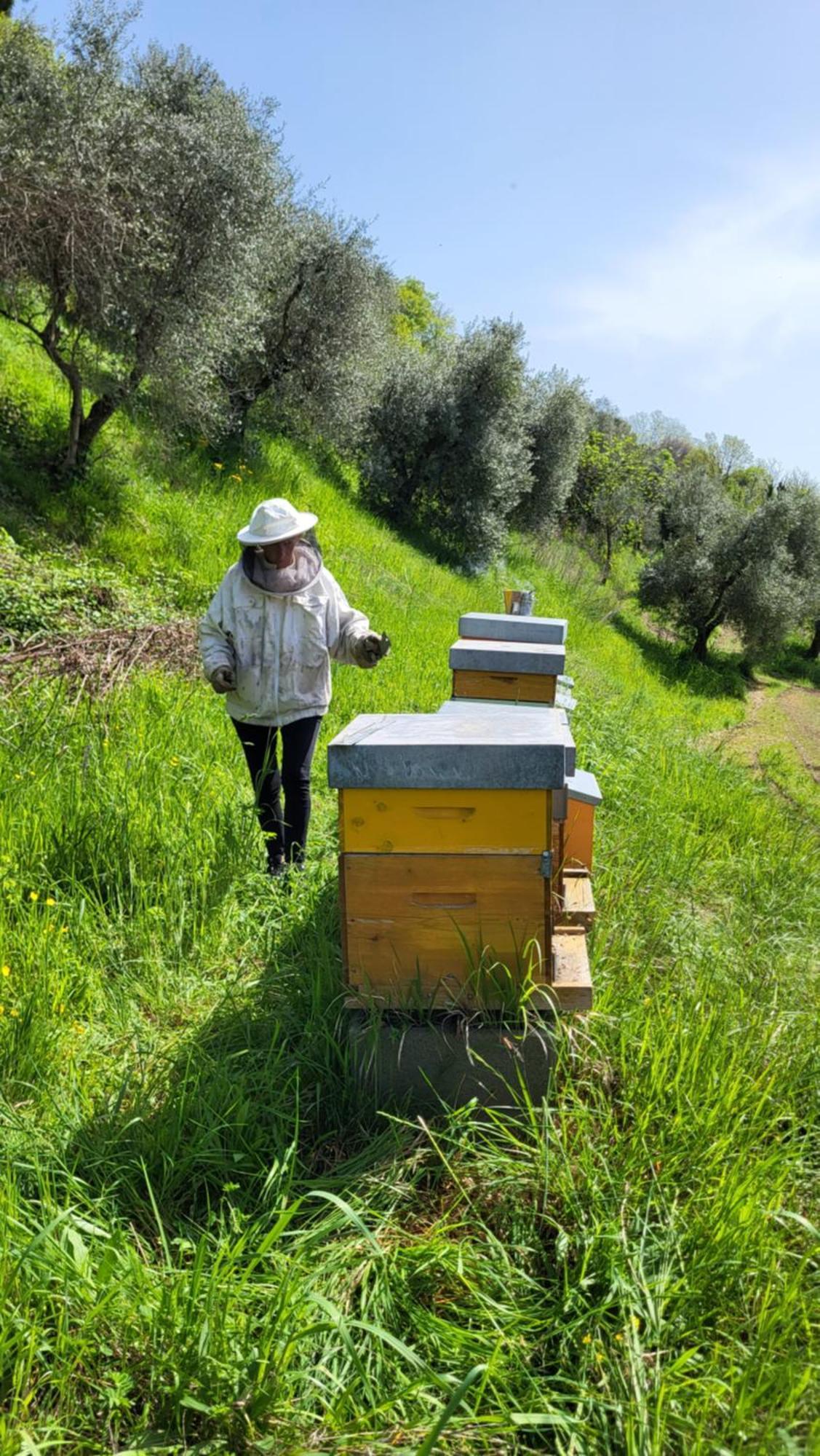 Farm stay Podere Nigriano *